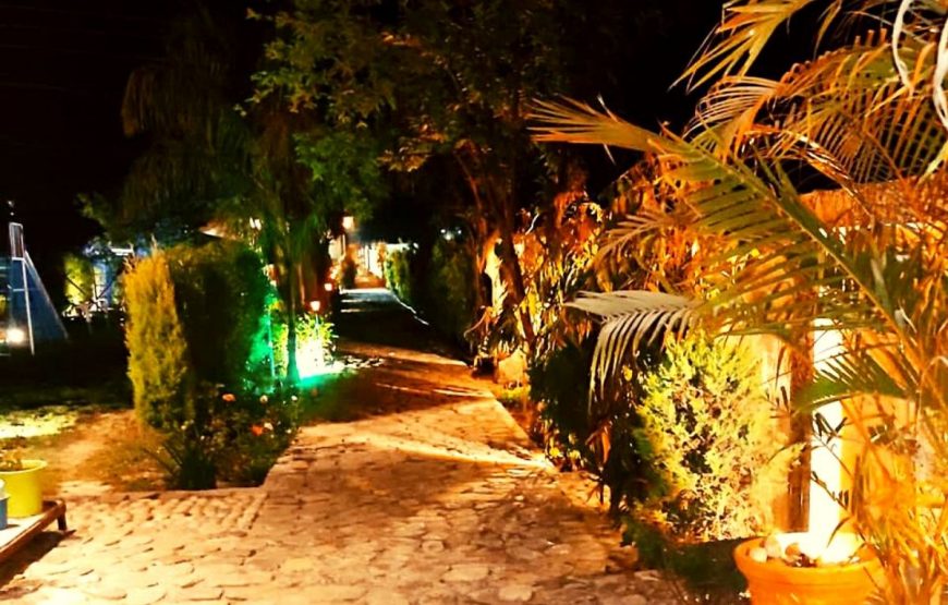 2 Nights Stay at Rajaji Wild Trail Resort with 2 Jungle Safari at Gohri Range