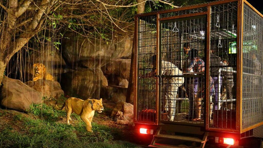 Bali Safari And Marine Park