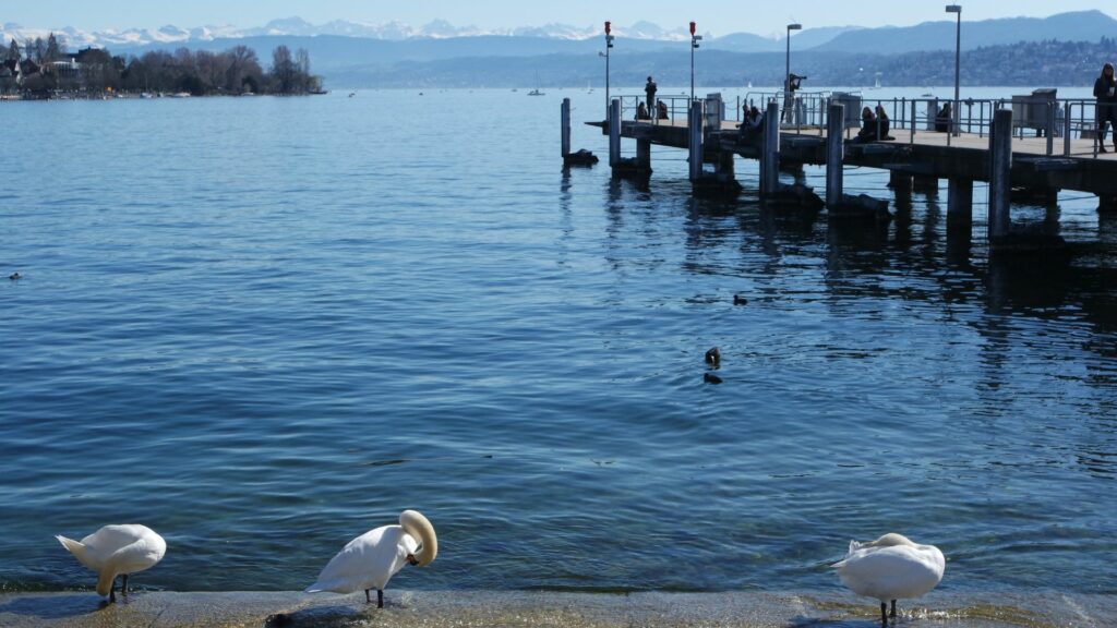 Bürkliplbürkliplatz-&-lakeside-promenadeatz & Lakeside Promenade