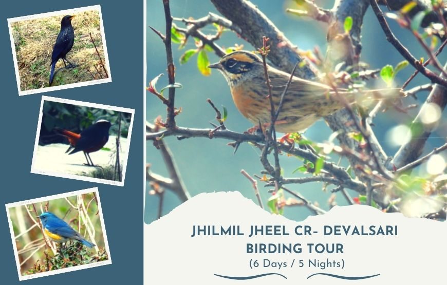 Jhilmil Jheel Conservation Reserve – Devalsari Birding Tour (6 Days / 5 Nights)
