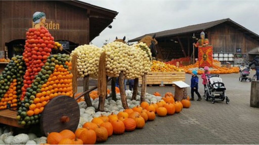 Jucker Farm, Seegräben & Jona