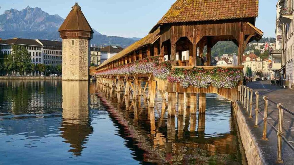 lucerne