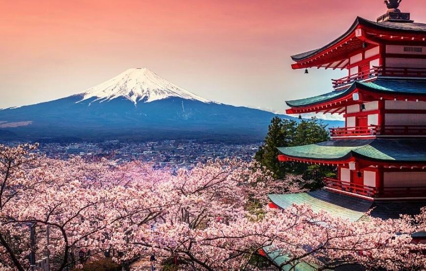 Japan Cherry Blossom Tour (7 Nights/8 Days)