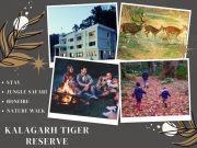 1 Nights Stay at Corbett Mist Resort with 1 Jungle Safari at Kalagarh TR