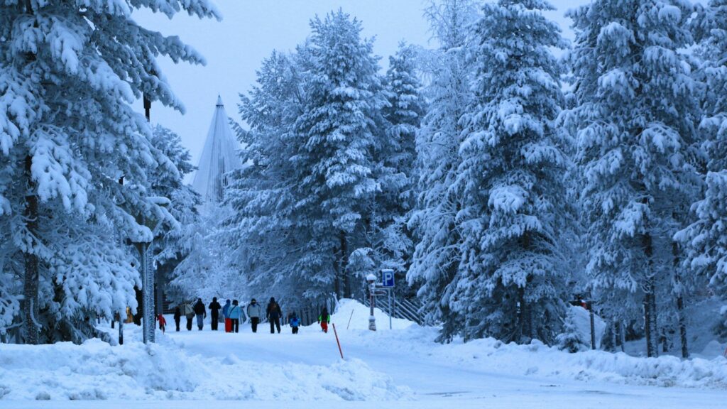 Winter Season in Japan